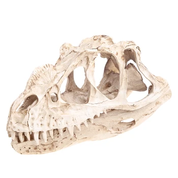 Ceratosaurus Crânio de Dinossauro Artesanato de Resina para o Fóssil do Esqueleto do Modelo de Ensino Fan
