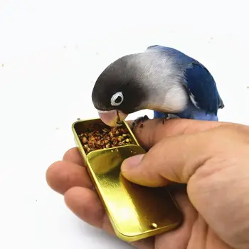 Mini Handheld Periquito de Ferro, Tanque de QI Crescimento Papagaio Pássaro de Formação boião de Alimentador do Pássaro Ferramentas de Formação de Formação de Brinquedo