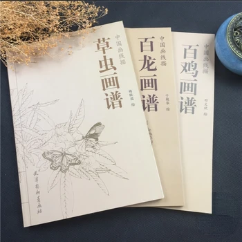 Pintura Tradicional Chinesa Cadernos Meticuloso Pintura Cadernos Chinês Antigo Imperador Da Beleza Do Herói Copiar Álbum Cadernos